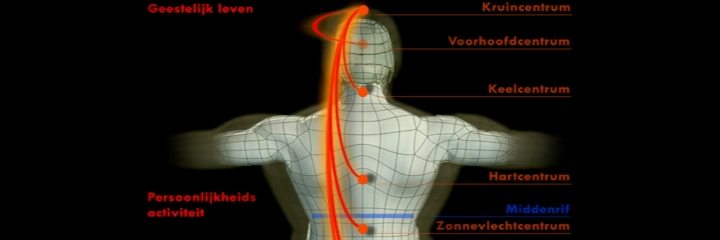 Lees meer over het artikel De evolutie van de schepping