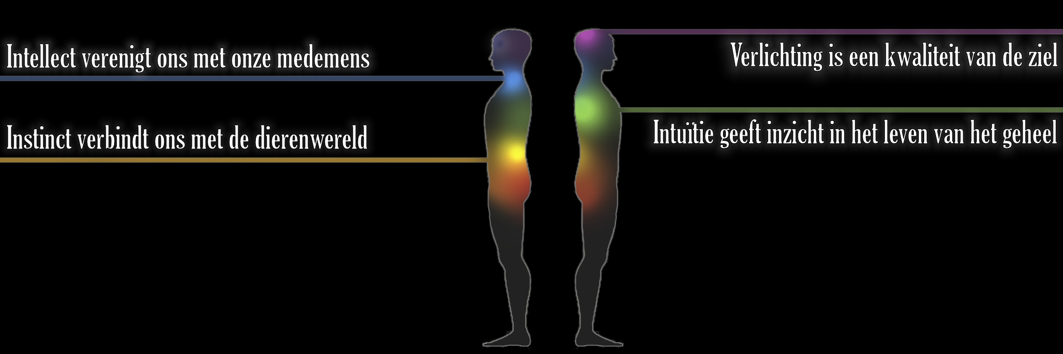 Je bekijkt nu Vier stadia in onze ontwikkelingsgang
