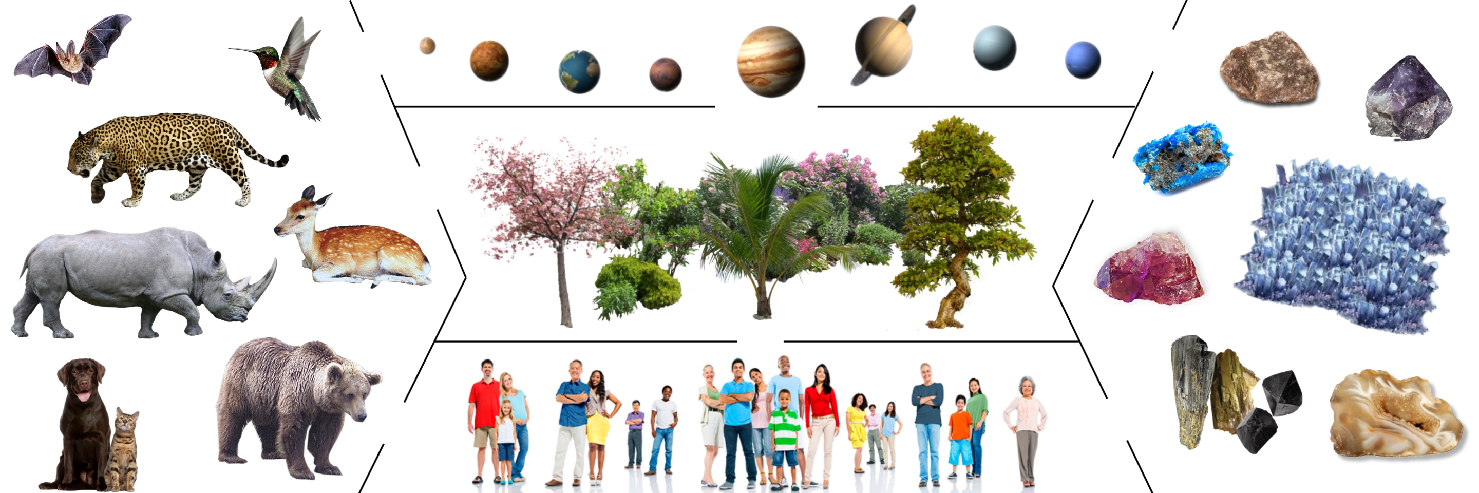 Lees meer over het artikel De rol van de ziel in ons aardse bestaan