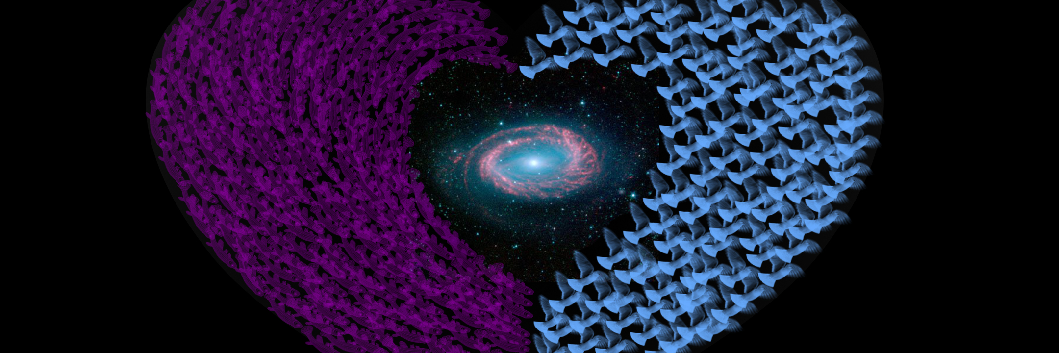 Lees meer over het artikel Telepathische wisselwerking