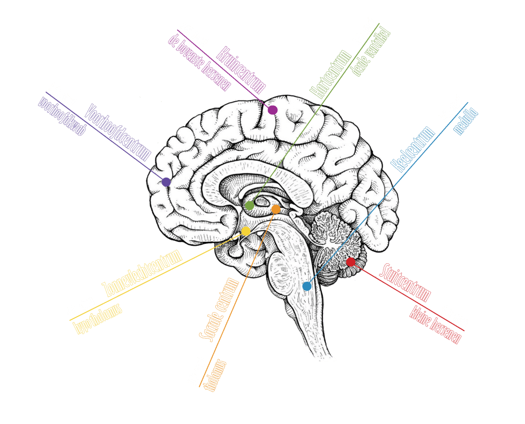 blog mei 16 text afbeelding 2