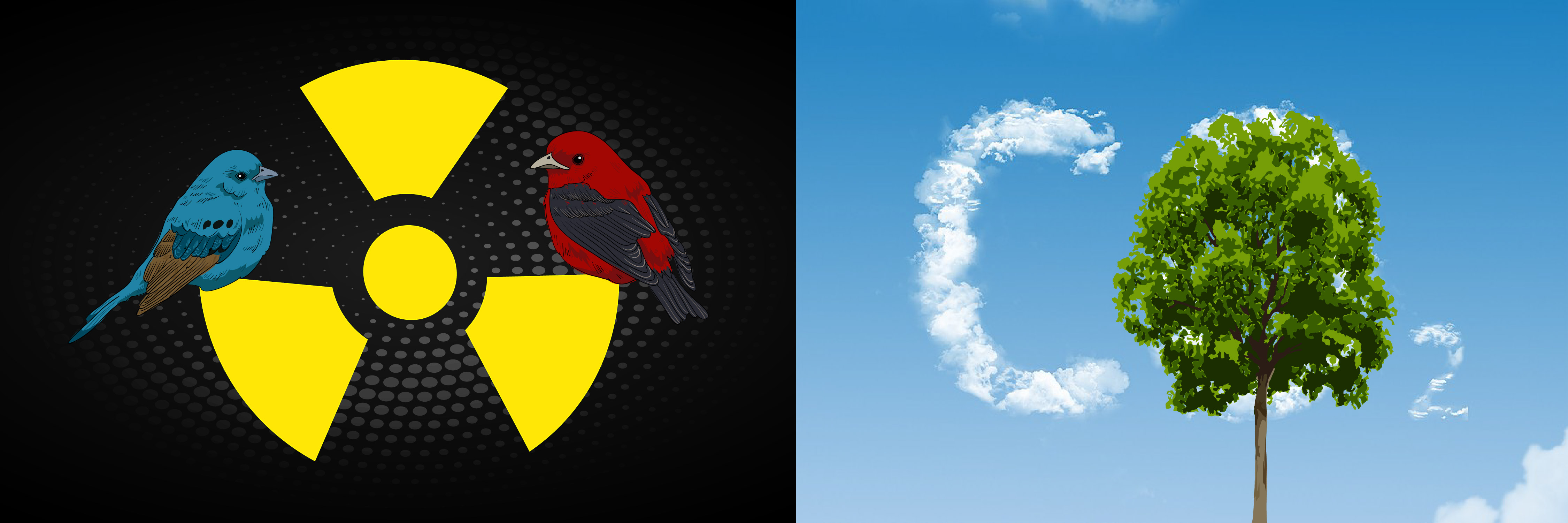 Je bekijkt nu Ons aanpassingsvermogen is groter dan we denken